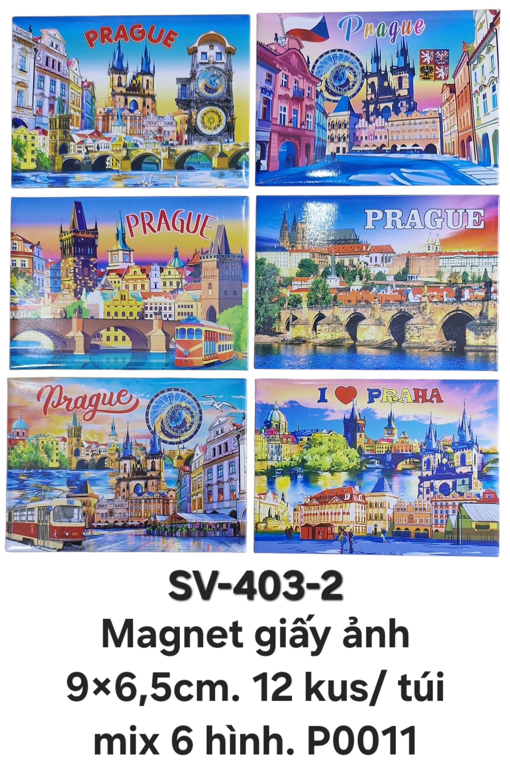 SV-403-2. Magnet giấy ảnh bọc sắt cỡ to 9x6,5 cm. Mix 6 hình