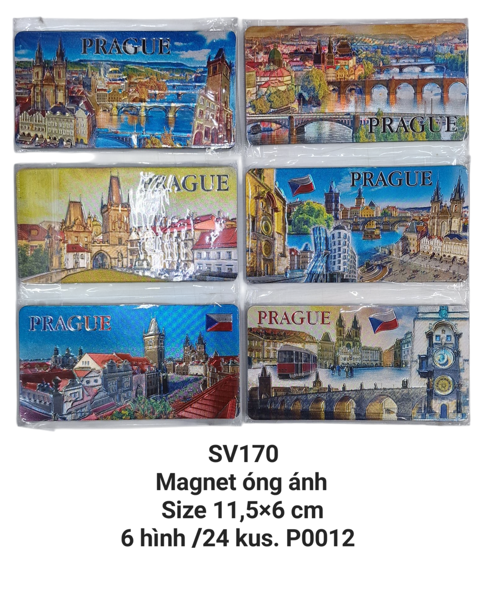 Magnet óng ánh chữ nhật in nổi SV170