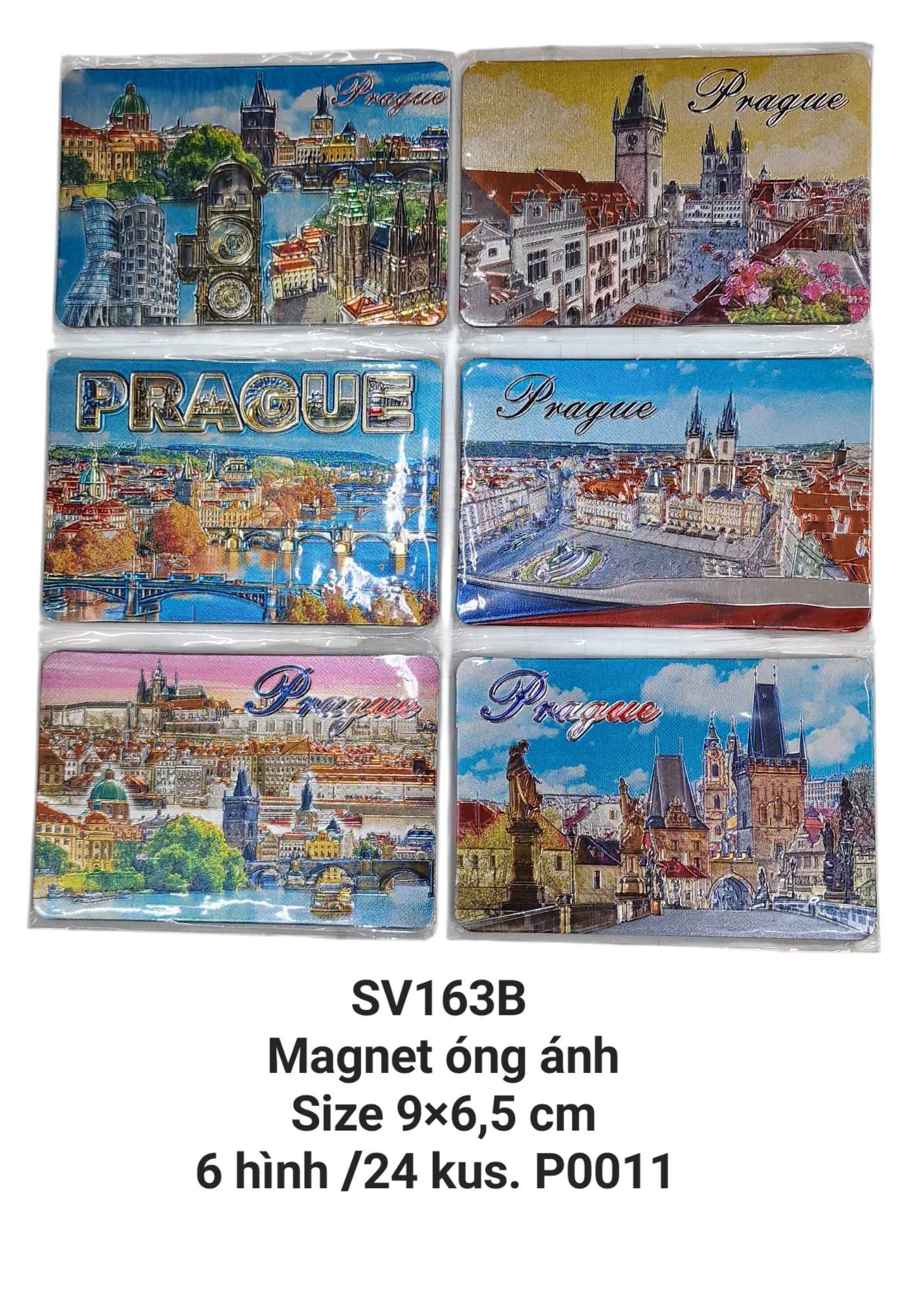 Magnet óng ánh chữ nhật nằm ngang chạm nổi SV163-B