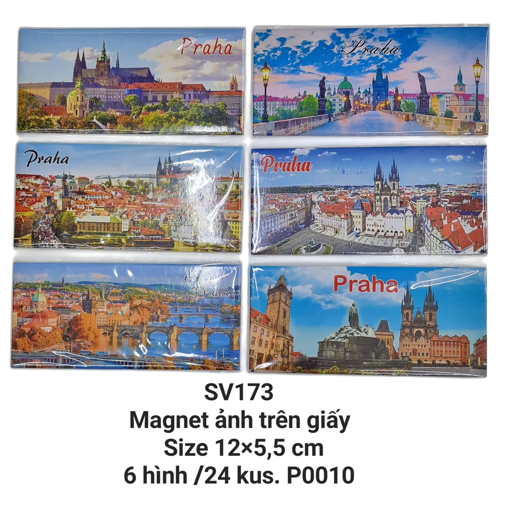 Magnet ảnh in trên giấy hình chữ nhật dài  SV173