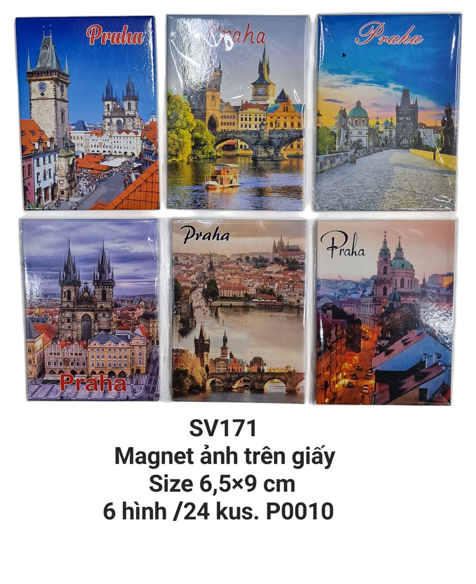 Magnet ảnh in trên giấy hình chữ nhật đứng SV171