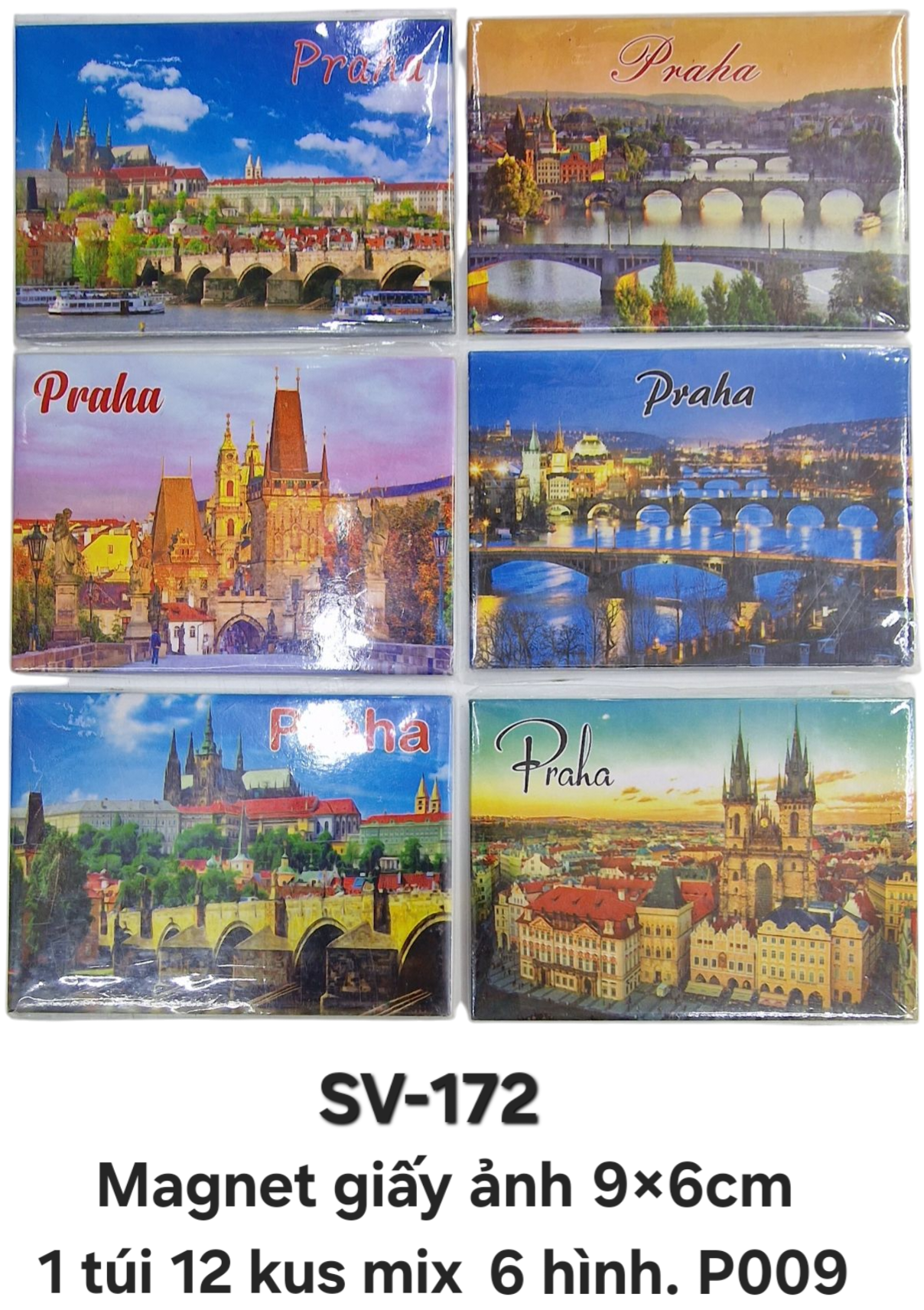 SV-172. Magnet ảnh in trên giấy hình chữ nhật cỡ to
