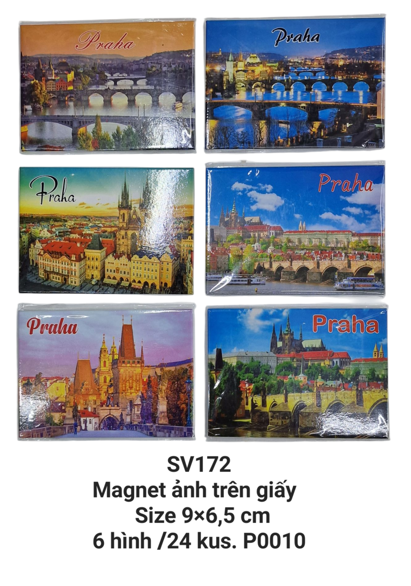 Magnet ảnh in trên giấy hình chữ nhật nằm ngang SV172