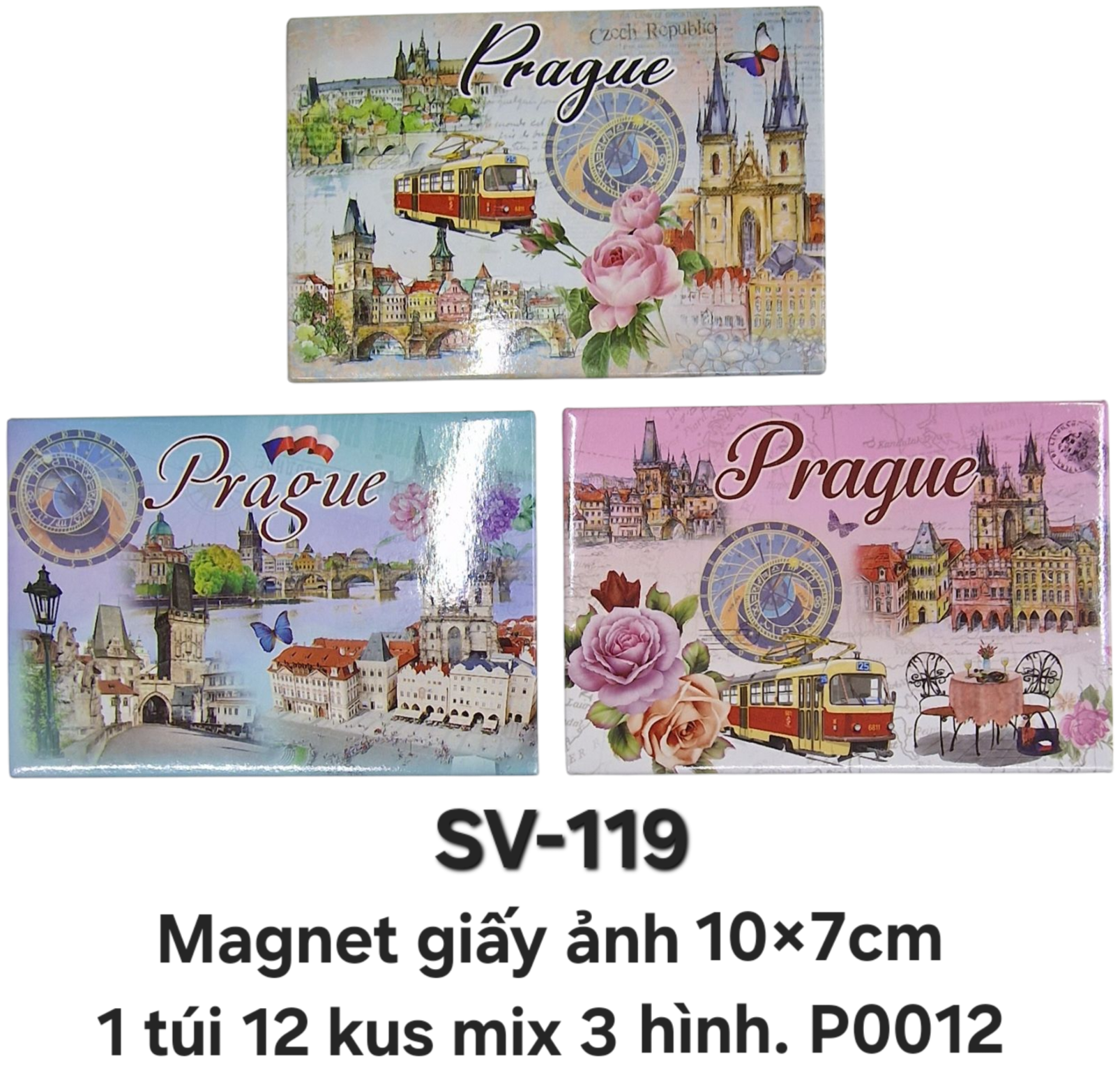 SV-119. Magnet ảnh in trên giấy hình chữ nhật cỡ to