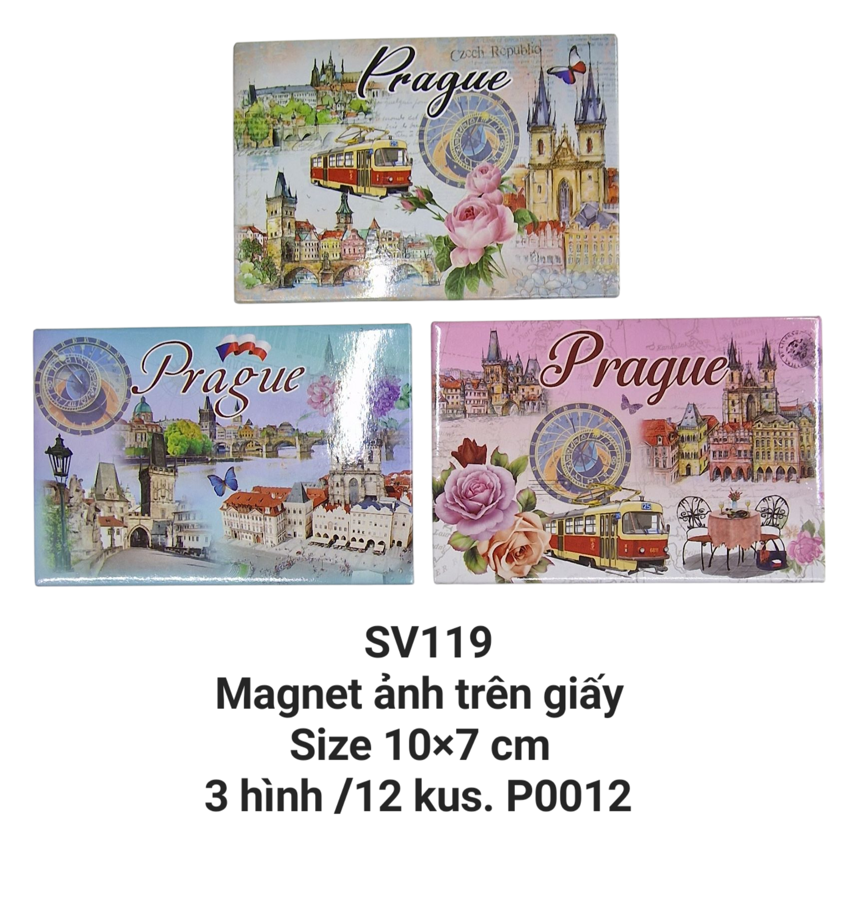 Magnet ảnh in trên giấy chữ nhật ngang SV119