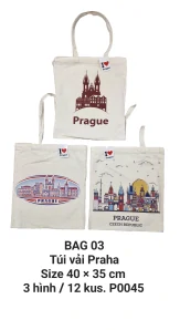 Túi vải chữ nhật đứng cỡ to. BAG 03