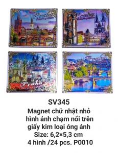 Magnet óng ánh chữ nhật nhỏ nằm ngang chạm nổi SV345