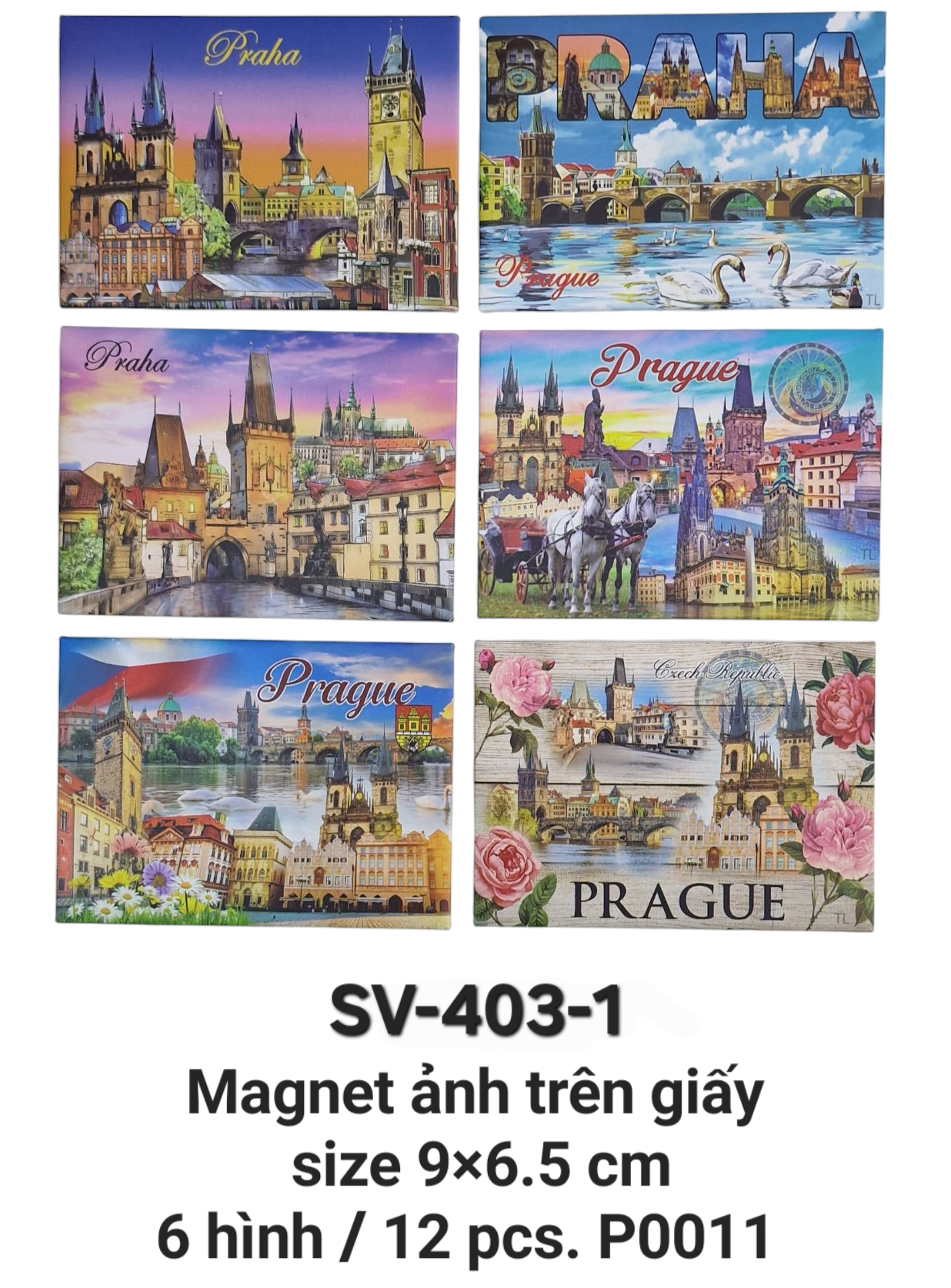 SV-403. Magnet sắt ảnh in trên giấy cỡ lớn 