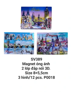 Magnet óng ánh 2 lớp đúc nổi 3D hình chữ nhật, hình ảnh in nổi trên giấy kim loại. SV389