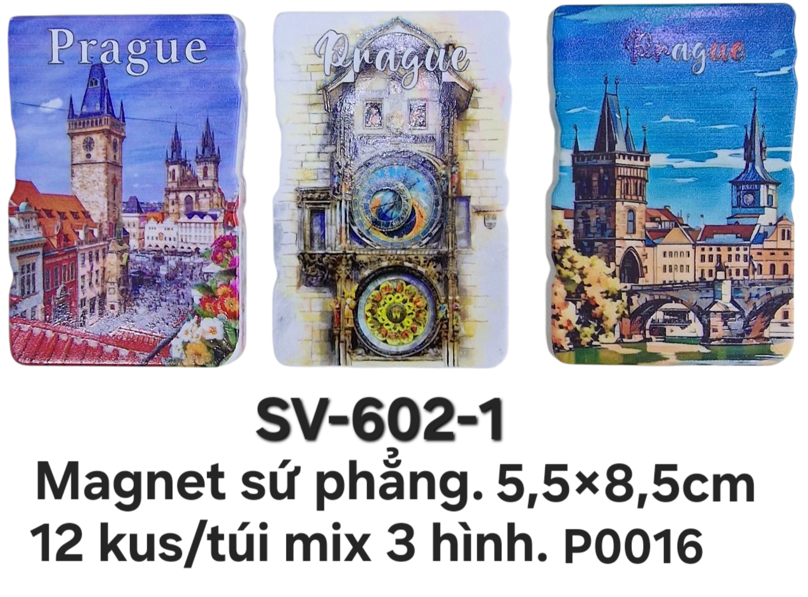 SV-602-1. Magnet sứ chữ nhật in màu cỡ trung