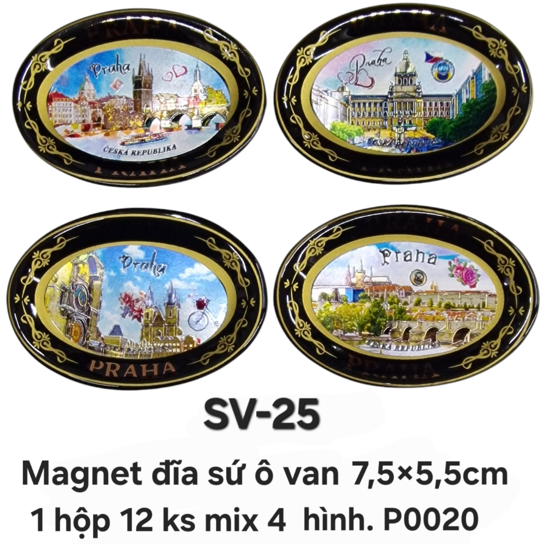 SV-25. Magnet đĩa sứ ovan 