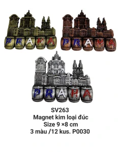 Magnet kim loại đúc nổi SV263