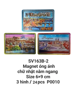 Magnet óng ánh chữ nhật nằm ngang chạm nổi. SV163B-2